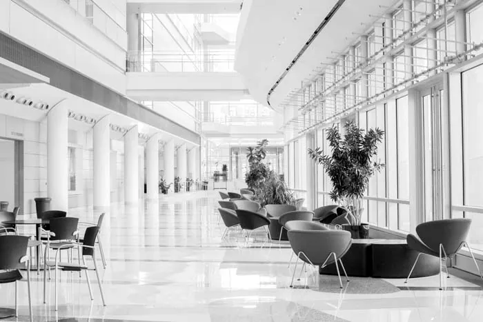 Commercial building atrium lobby with lounge seating, plants and glass walls